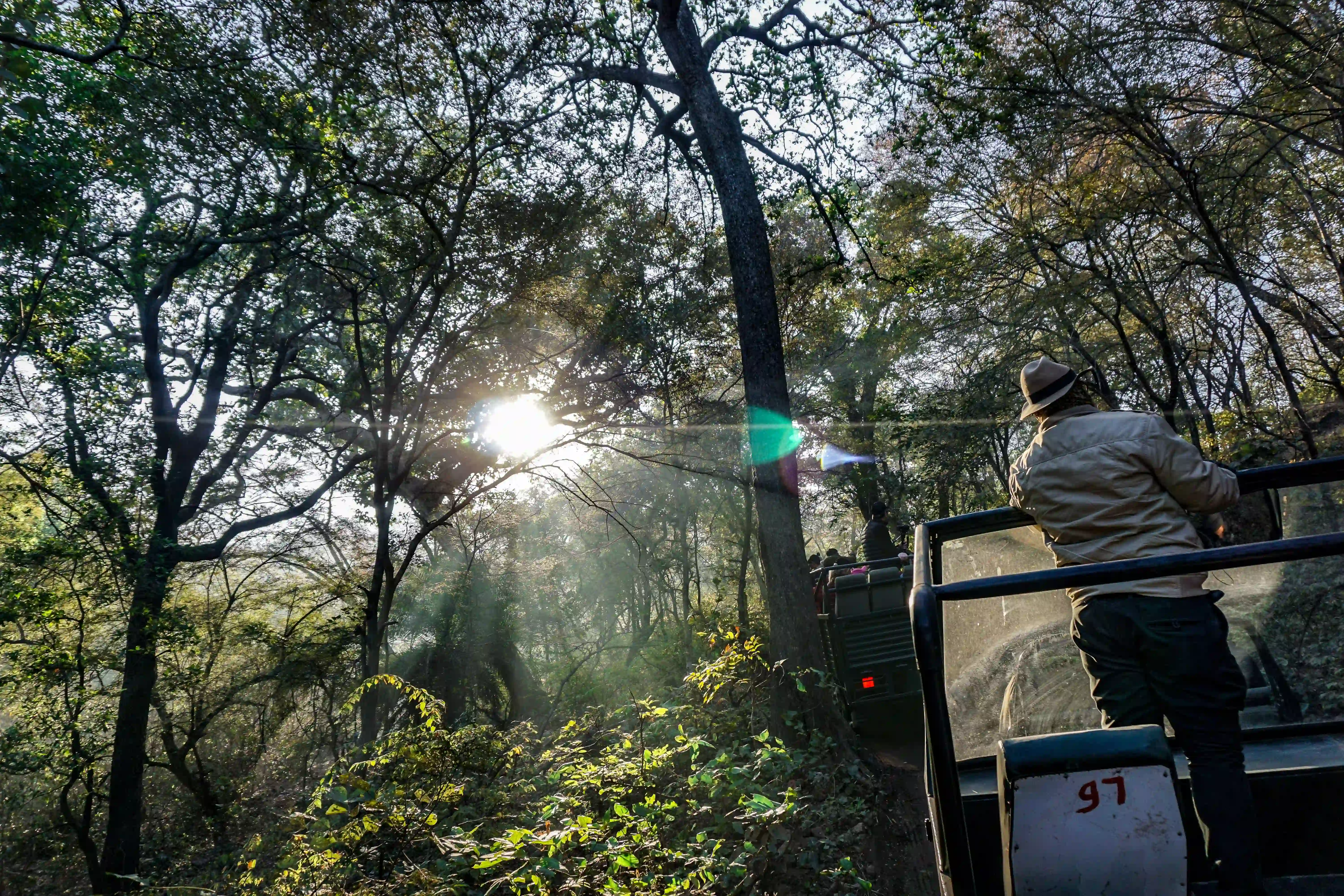 Ranthambhore National Park animal Photos