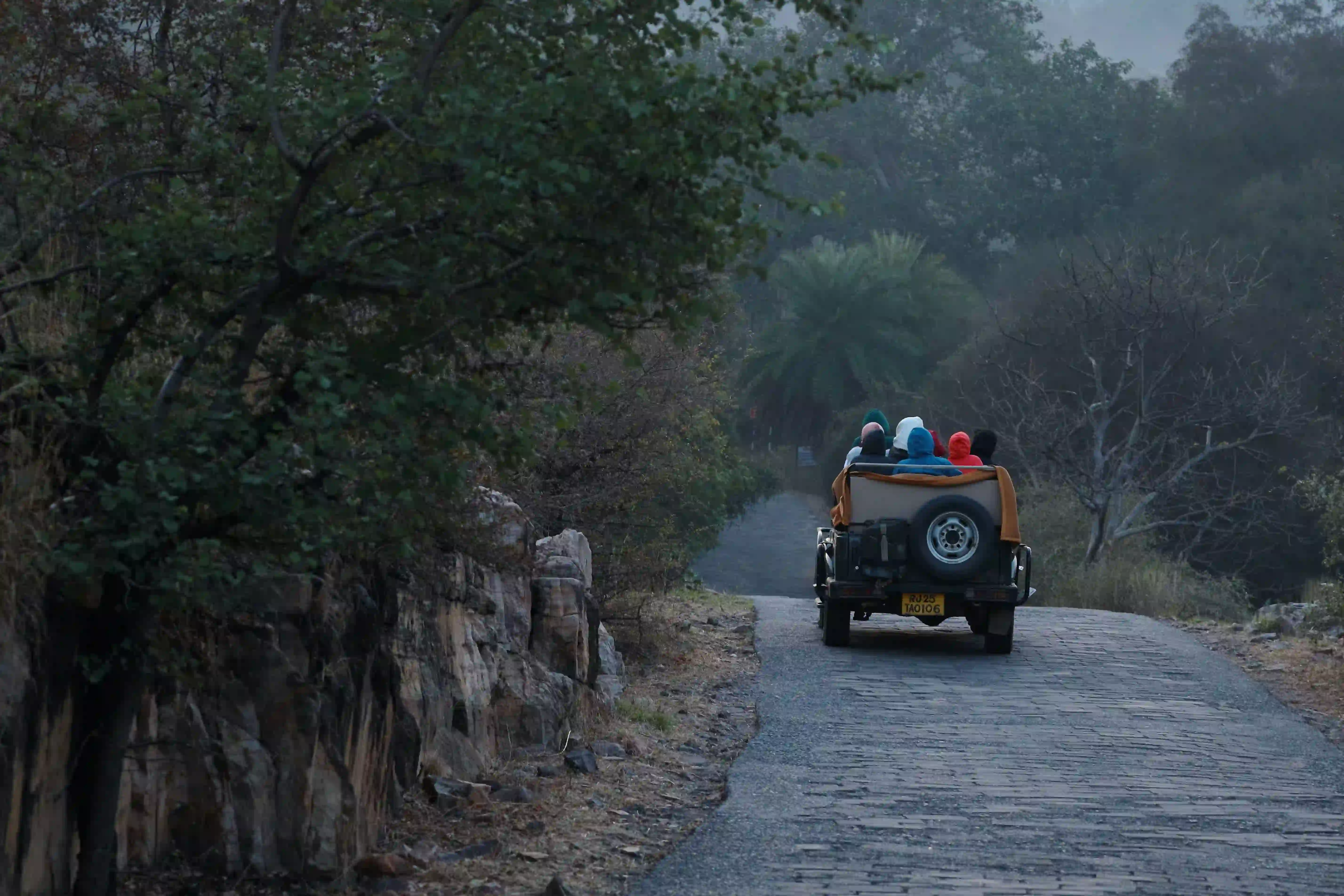 Ranthambhore National Park animal Photos